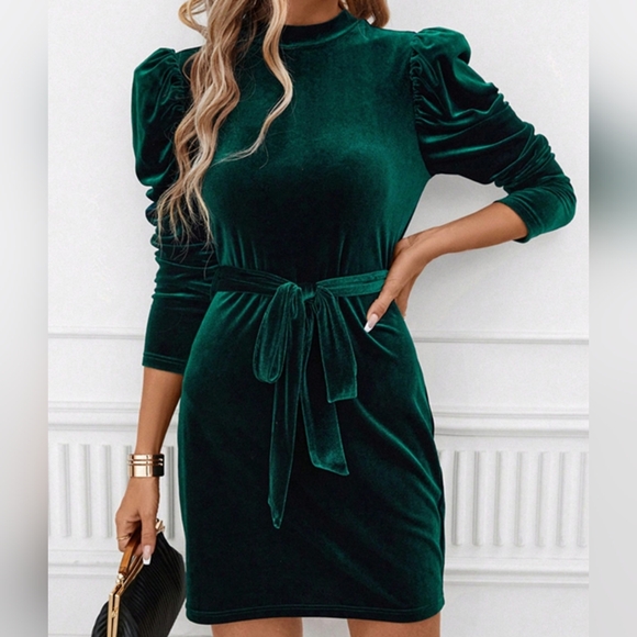 Pine Velvet Luxe Mini Dress - Picture 9 of 10